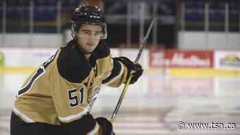 Cormier scores two power-play goals to lead Islanders to victory over Wildcats - TSN
