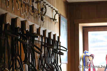 Paardenstallen in Stekene getroffen door een inbraak - Equnews