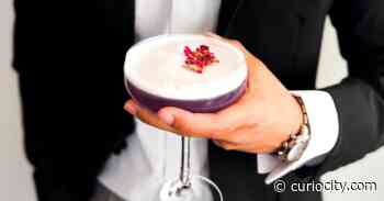 A chic new cocktail bar for ‘non-conformists’ just opened on 17th Avenue in Calgary - Curiocity