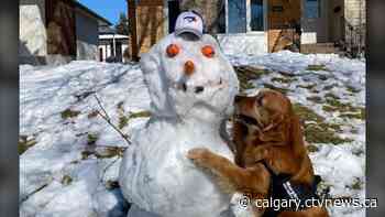Calgary weather for Monday, April 25 | CTV News - CTV News Calgary