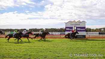 Mingenew Cup meeting held at the Geraldton Turf Club, with a few local horses enjoying wins - The West Australian