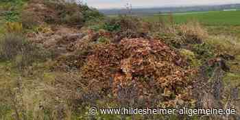 Kreis Hildesheim: Wird bald dezentral Grünschnitt angenommen? - www.hildesheimer-allgemeine.de