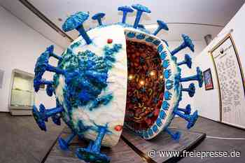 "Seuchen"-Ausstellung in Hildesheim verlängert - freiepresse.de