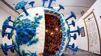 Ausstellungen - Hildesheim - "Seuchen"-Ausstellung mit neuen Objekten - Kultur - Süddeutsche Zeitung - SZ.de