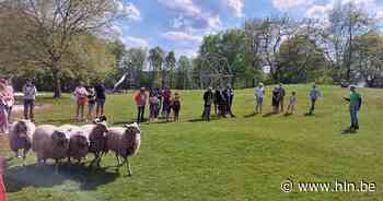 Grote publiek maakt kennis met vernieuwd jeugddomein De Bogaard tijdens Erfgoeddag - Het Laatste Nieuws