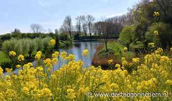Mooi geel is niet lelijk | destadgorinchem - DeStadGorinchem.nl