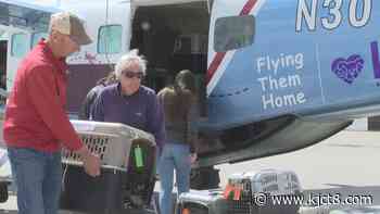 Roice-Hurt Society receives transport of dogs from Texas - KJCT