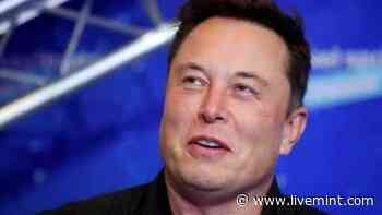 Elon Musk Backs This Unique Transport Mode To Get Rid Off Natural Disasters | Mint - Mint