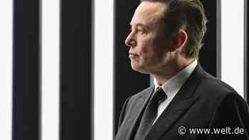Elons Musk kauft Twitter