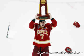 Islander helps team clinch record-tying 9th US college hockey championship – Comox Valley Record - Comox Valley Record