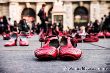 Condena Diócesis de Orizaba, aumento de feminicidios en el país - plumas libres