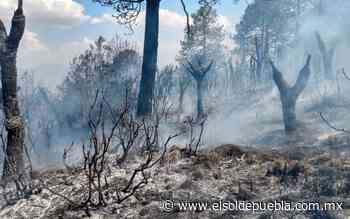Bomberos laboran para sofocar incendio en Libres - El Sol de Puebla