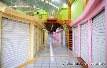 Realizan locatarios y Ayuntamiento renovación integral de la Plaza Clavijero - plumas libres