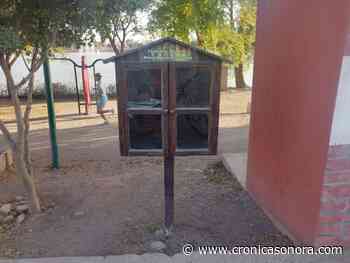 Libros libres y el buzón de la Laguna del Náinari - Crónica Sonora