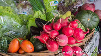 Invitan a la 4ta feria de productos libres de fertilizantes y químicos - Los Tiempos