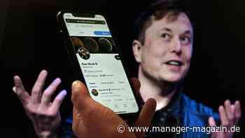 Elon Musk kauft Twitter: Was der Tesla-Chef mit dem Kurznachrichtendienst vorhat