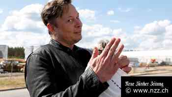 Wird die Redefreiheit ausgebaut und kehrt Donald Trump zurück? – Was sich nach Musks Übernahme nun bei Twitter ändert