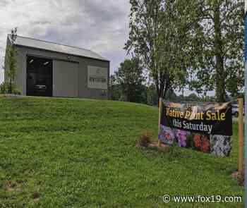 Cincinnati Zoo partners with local bakery to 'save the bees' - FOX19