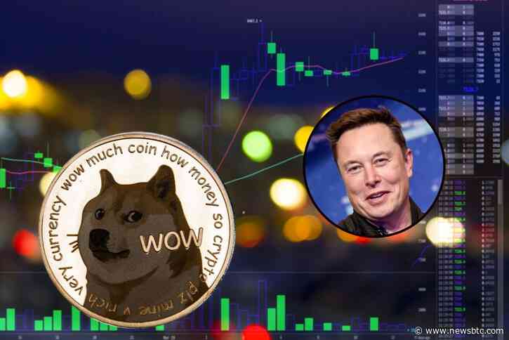 Dogecoin (DOGE) Jumps 30% After Elon Musk Buys Twitter