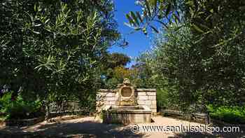 Cal Poly student-run arboretum gets $1 million gift. Here’s how money will be spent - San Luis Obispo Tribune