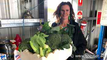 Cost of living 'tougher in regional Victoria' as demand for services spikes