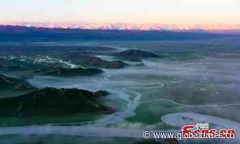 Forest areas expand and ecological resources improve in China: authority - Global Times