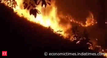 Forest fires flare up in Uttarakhand as temperatures soar - Economic Times
