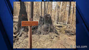 More areas north of Hwy. 22 reopen in Santiam State Forest after 2020 Labor Day wildfires - KTVZ