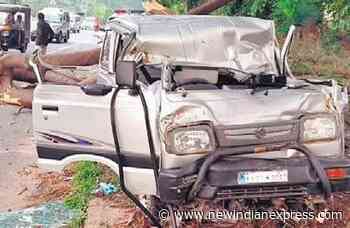 Forest dept warns of ‘killer trees’ in Bengaluru due to works - The New Indian Express