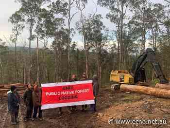 Anti-logging blockage underway in Girard State Forest - Echonetdaily