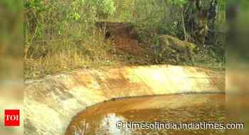 Forest department helps quench wild animals’ thirst this summer - Times of India