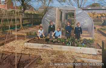 Berrow School launches forest school, providing pupils with 'classroom without walls' - Burnham-On-Sea