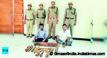Forest dept seizes 22.5kg sandalwood - Times of India