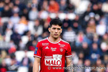 Report: Chelsea and Tottenham want Forest linked Martin Satriano - Nottingham Forest News