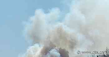 Firefighters Extinguish Forest Fire In Argyle | Y95.5 - CJLS