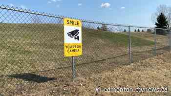 Forest Heights residents disrupted by night-time golfers - CTV News Edmonton