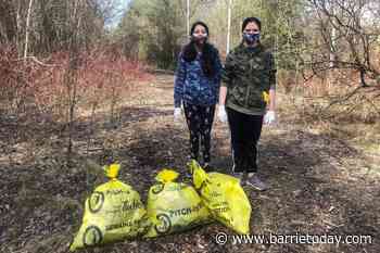 Volunteers take part in community cleanup at Innisfil Beach (8 photos) - BarrieToday