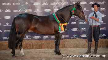 RS: quatro animais são passaporteados à Expointer através da Outonal de Esteio - Agrolink