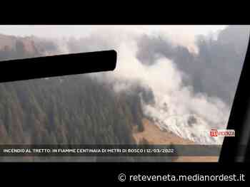 SCHIO | INCENDIO AL TRETTO: IN FIAMME CENTINAIA DI METRI DI BOSCO - Rete Veneta