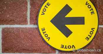 Health care, pocketbook issues among top priorities for Ontario voters: Ipsos poll