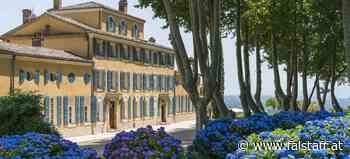 Moët Hennessy goes Rosé