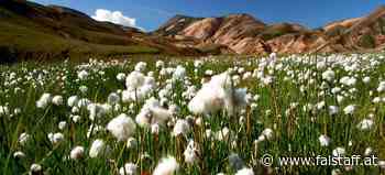 Kneissl Touristik: Faszinierendes Island mit Snæfellsnes