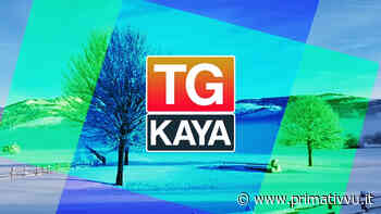 DA BACOLI AL CANOTTAGGIO. A KAYA ALLA SCOPERTA DEL MONDO DELLE API E DEL FAGIOLO QUARANTINO DI VOLTURARA - - Prima Tivvù