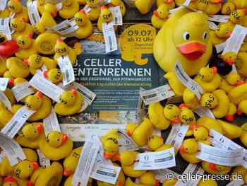 Celler Entenrennen am 9. Juli – Vertrieb startet – Celler Presse - Celler Presse
