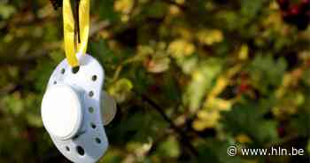 Peuters kunnen tutje kwijt aan tuttenboom | Lille | hln.be - Het Laatste Nieuws