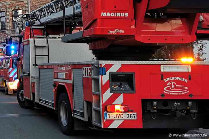 Vogelnest sluit schoorsteen af en zet woning onder de rook