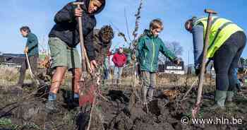 Werk mee aan het ontwerp van een voedselbos - Het Laatste Nieuws