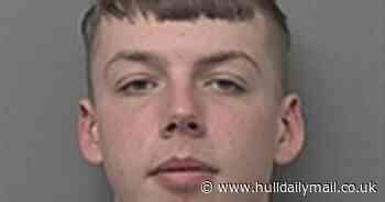 Urgent police appeal to find missing Hull teenager Bailey - Hull Live