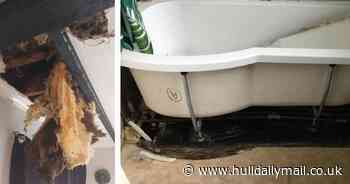 Property company fined £20,000 after ceiling collapsed at 'death-trap' house - Hull Live