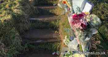 These disturbing cases show why Hull desperately needs extra policing cash - Hull Live